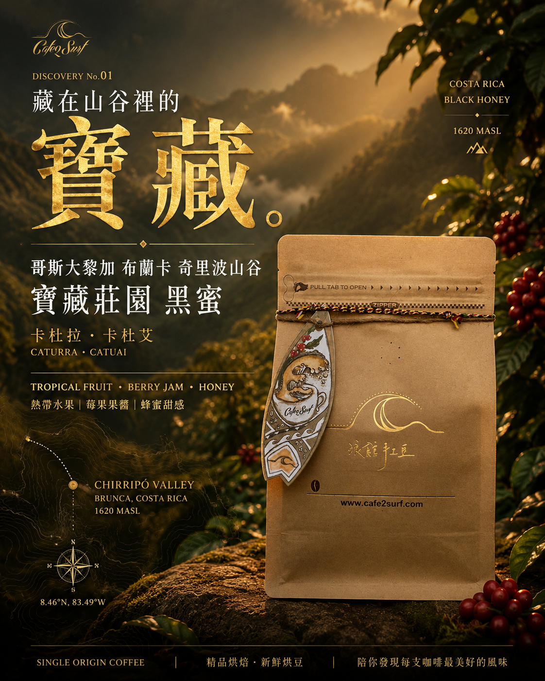 哥斯大黎加 布蘭卡 奇里波山谷 寶藏莊園 黑蜜｜咖啡豆 227g