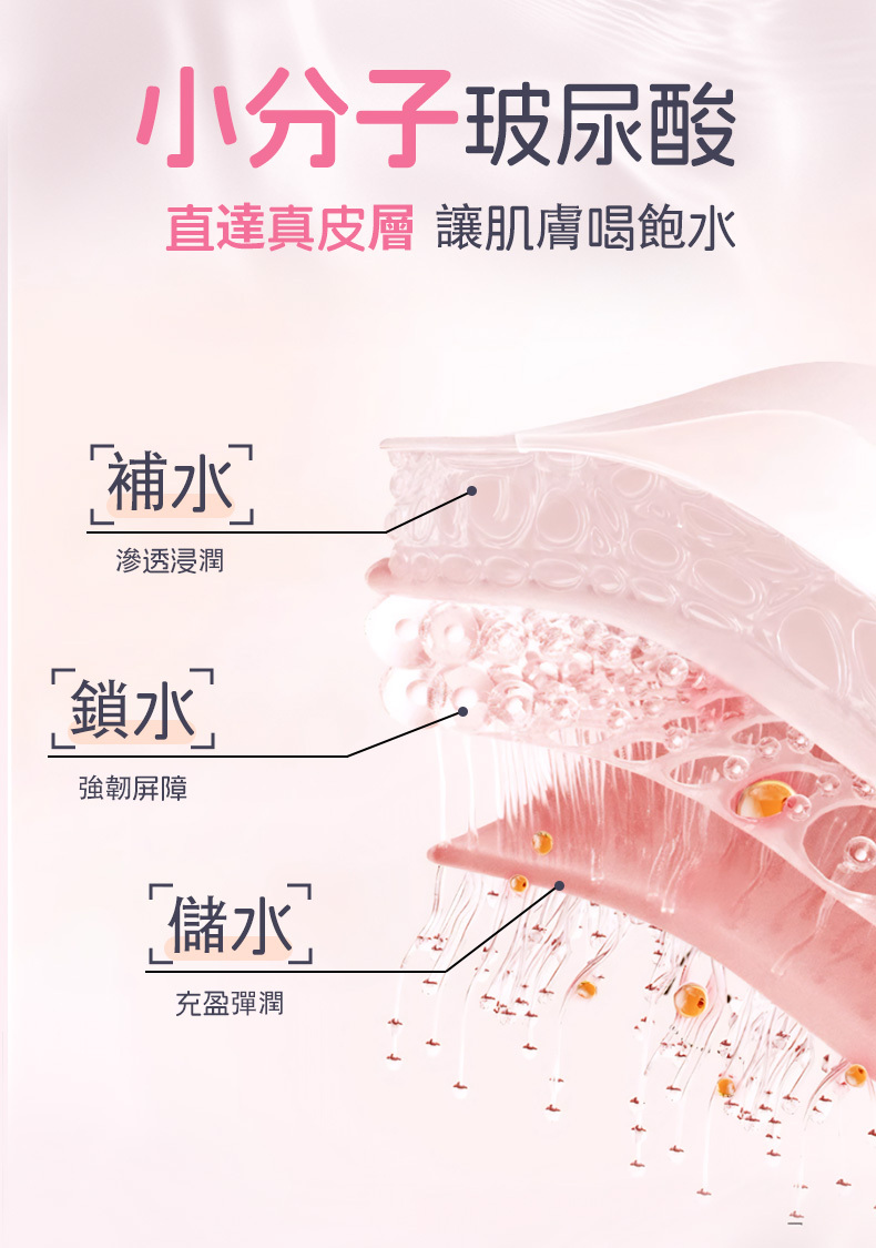 Orgie 私處水潤修護液深層補水，圖解小分子玻尿酸直達真皮層，讓肌膚喝飽水並強韌屏障。