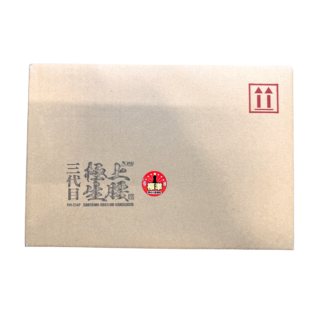NPG 三代目 極上生腰 水野朝陽 6kg 雙穴大型自慰器 (日本版)