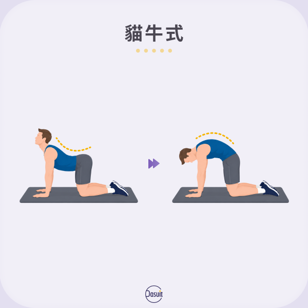 貓牛式