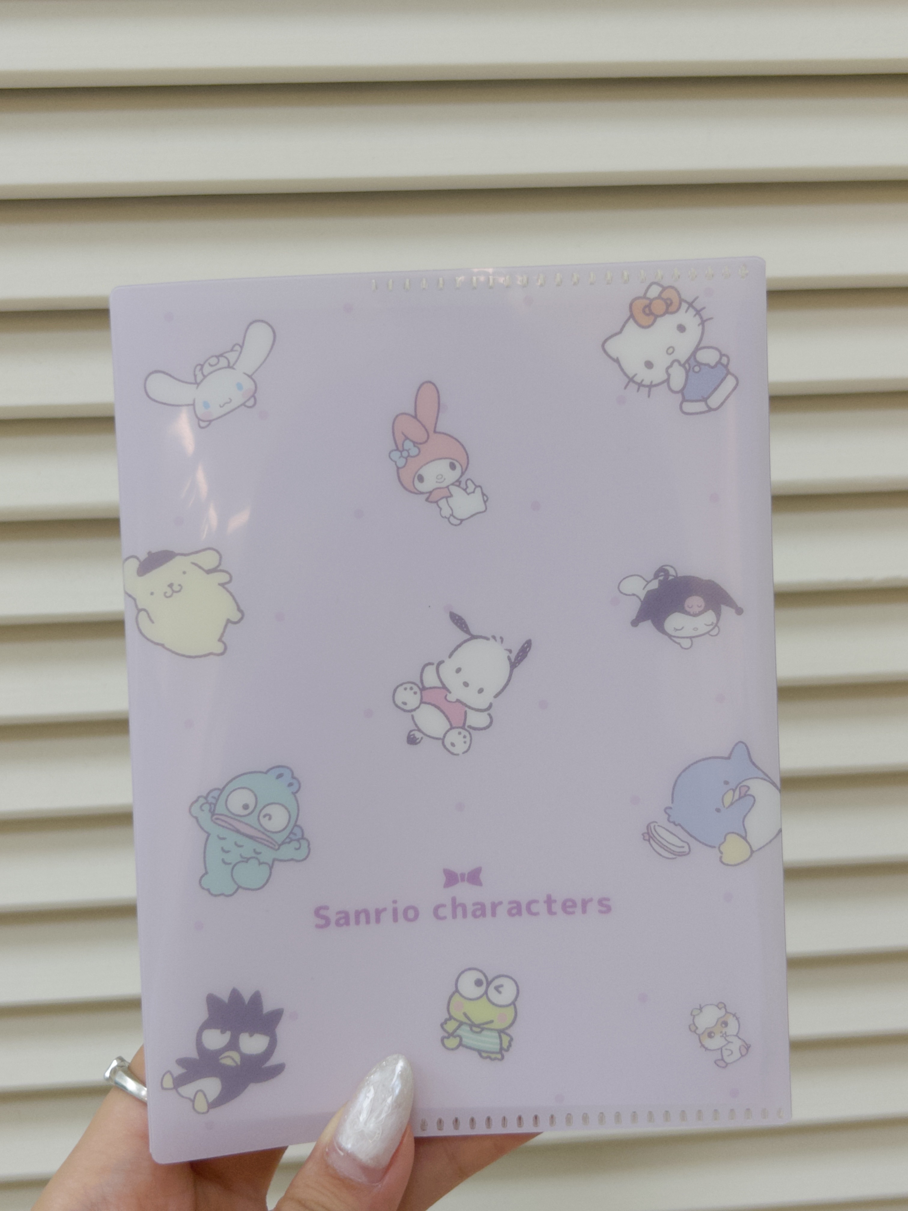 📝Sanrio綜合人物小筆記本💝