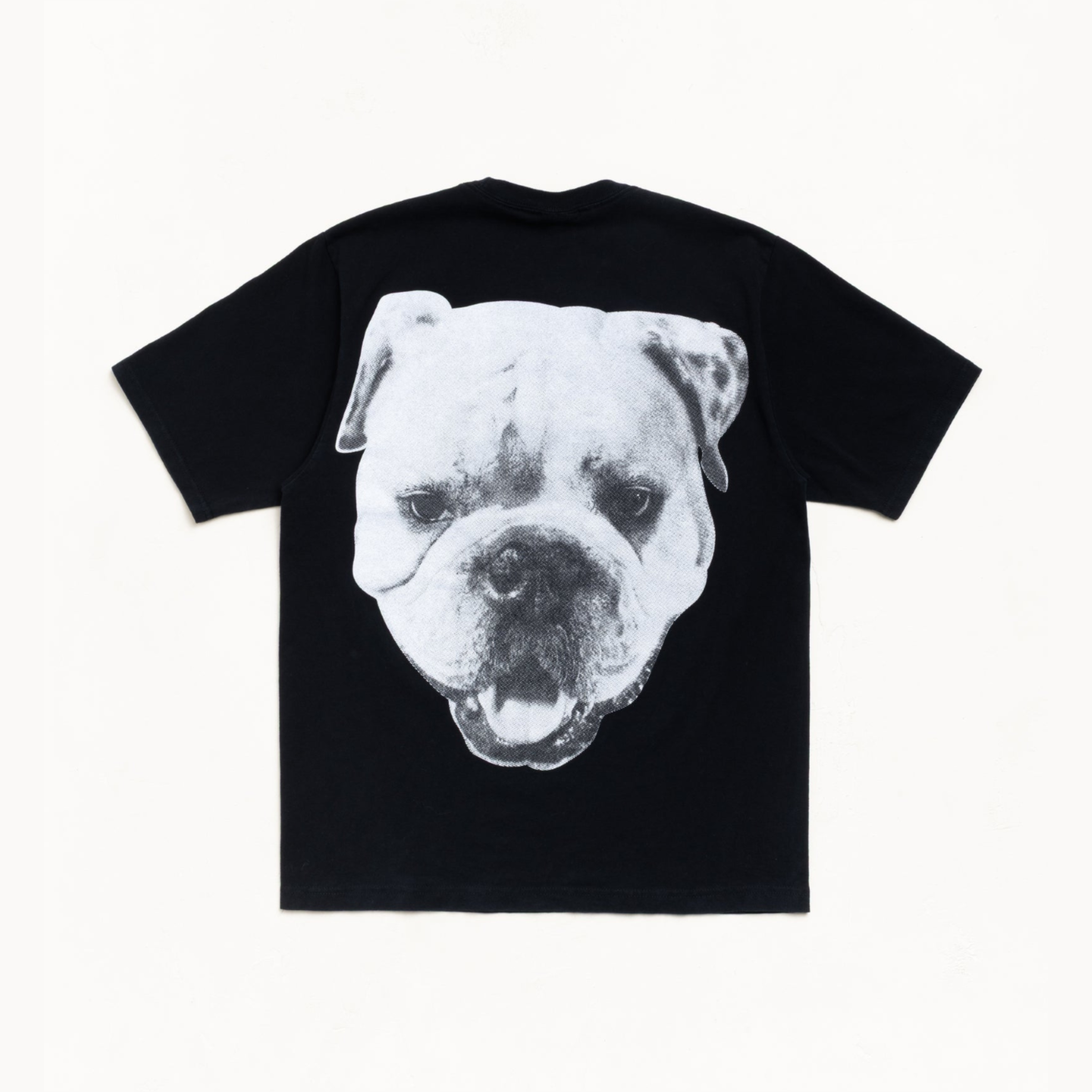 2026SS STUSSY BIG DOG TEE 背後 大狗狗 鬥牛犬 短T 現貨 1905211
