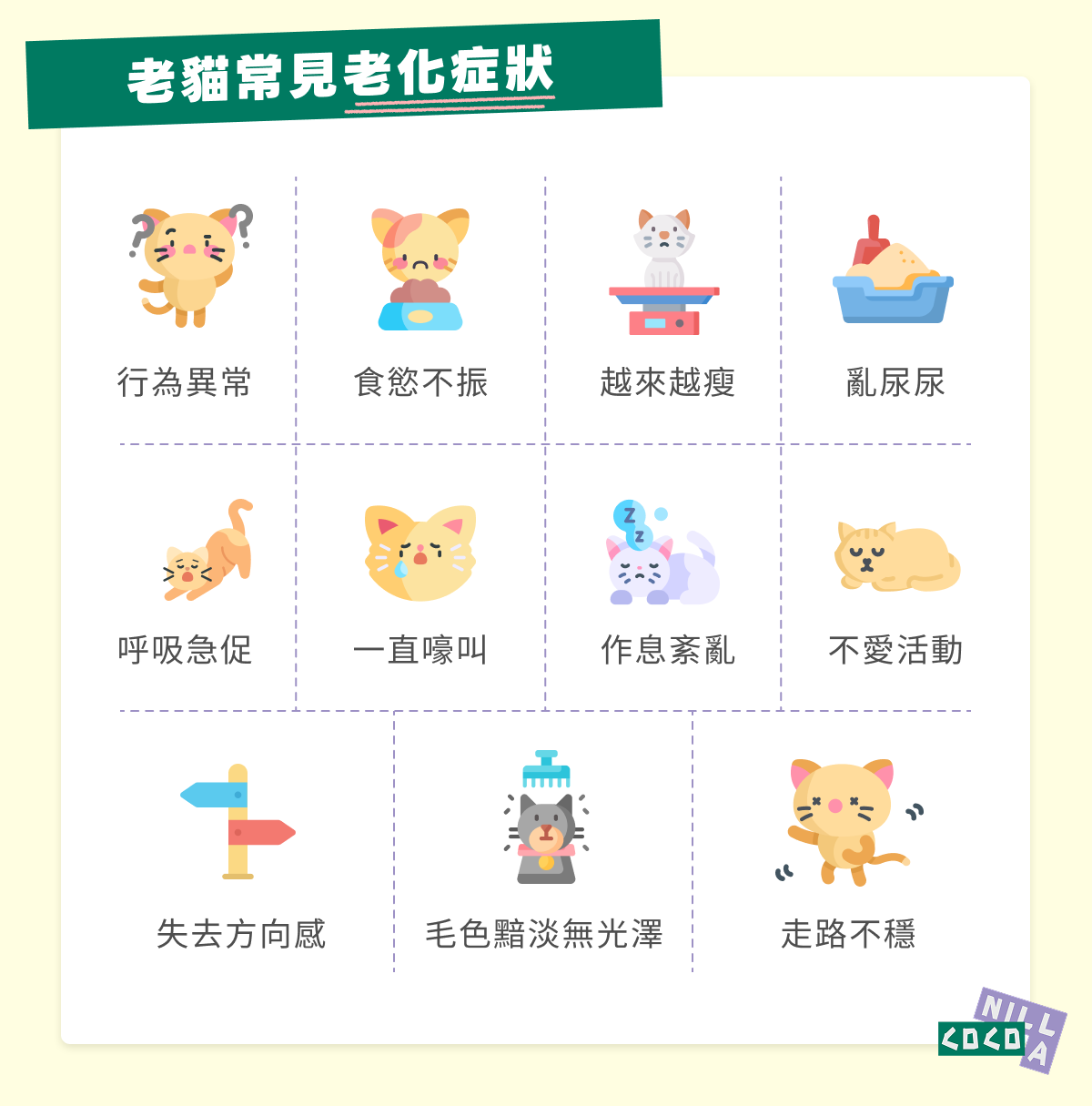 老貓常見老化症狀
