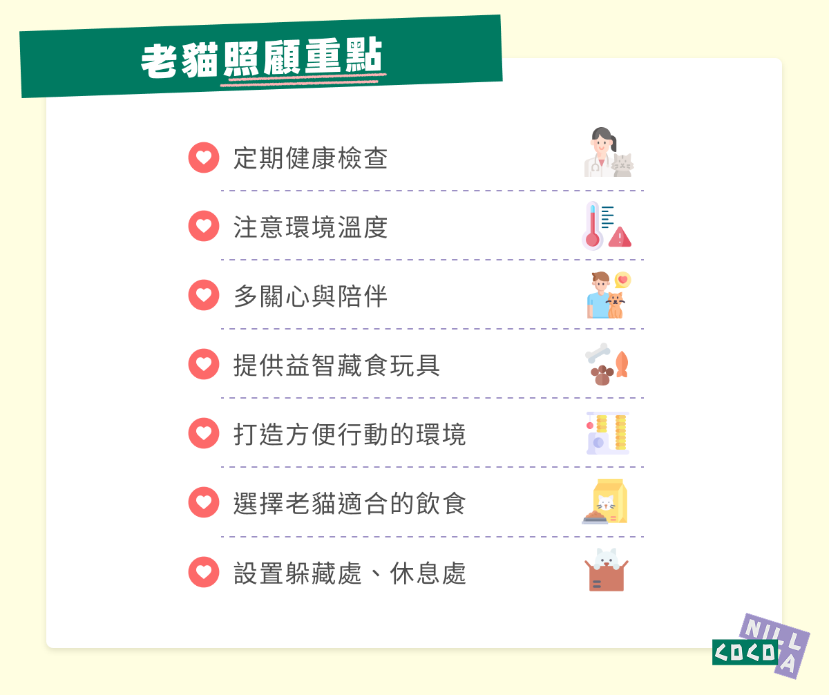 老貓照顧重點