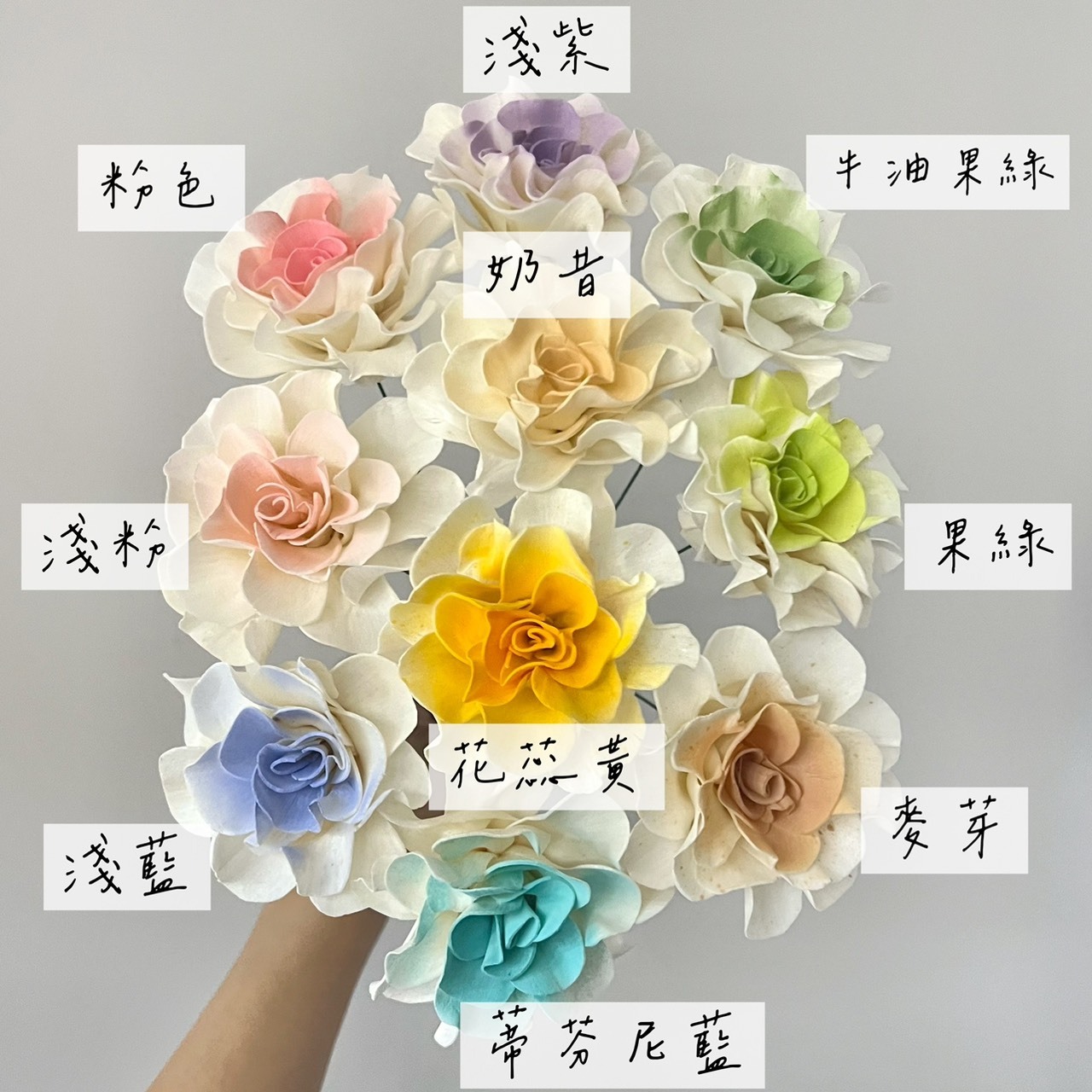 泰國索拉花 捲邊梔子花 6-7CM＜十支一把＞(高品質)
