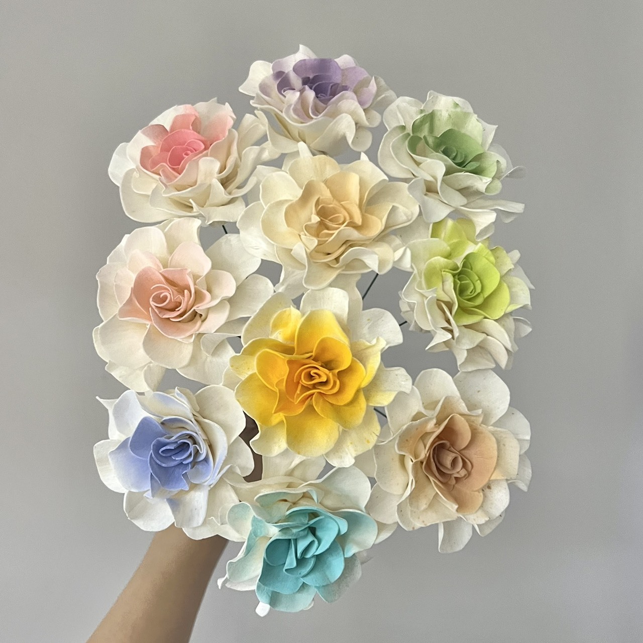 泰國索拉花 捲邊梔子花 6-7CM＜十支一把＞(高品質)