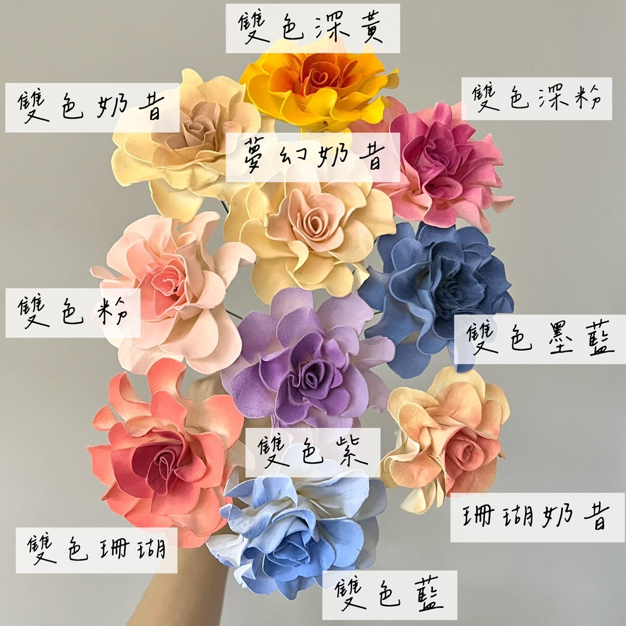 泰國索拉花 圓瓣梔子花 6-7CM＜十支一把＞(高品質)