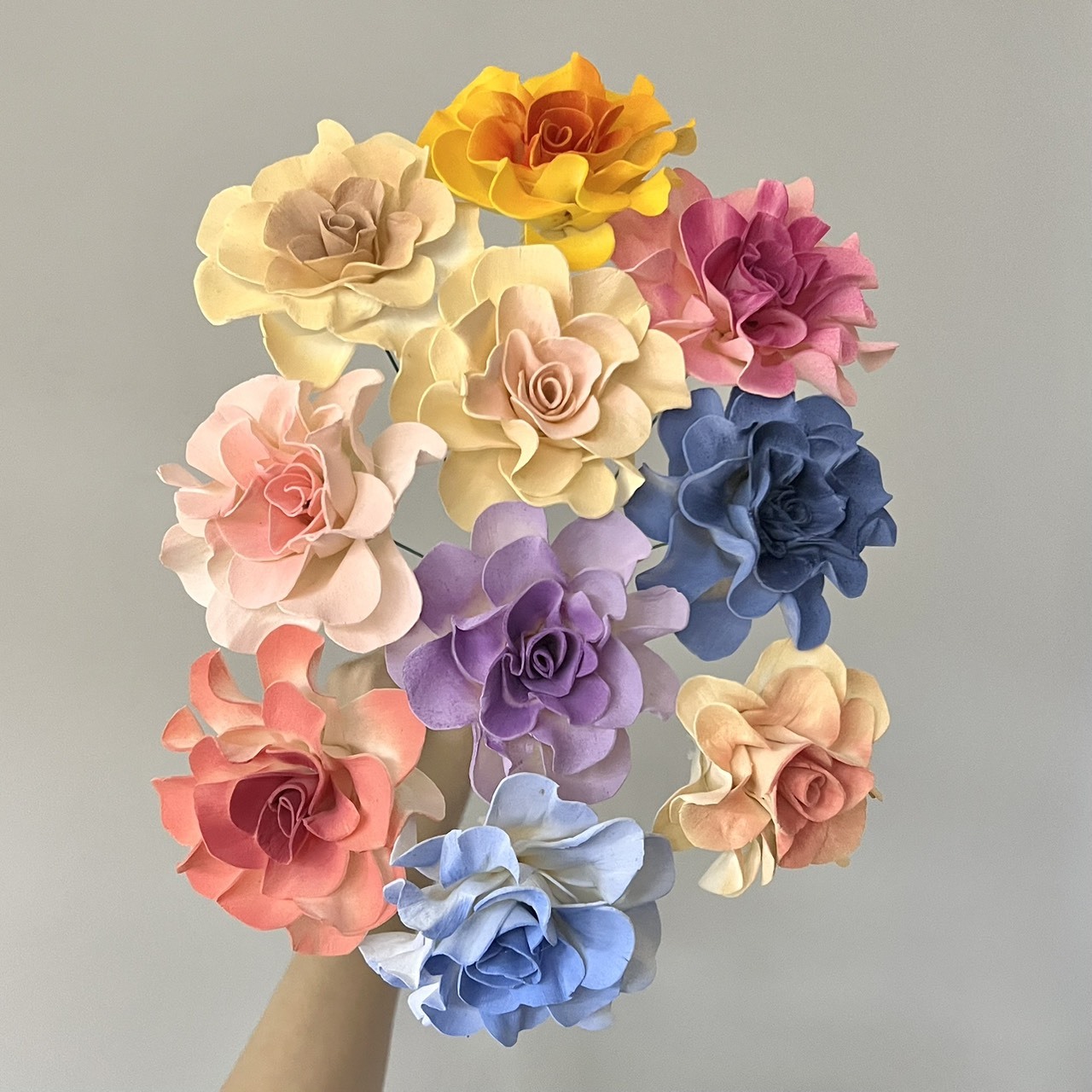 泰國索拉花 圓瓣梔子花 6-7CM＜十支一把＞(高品質)