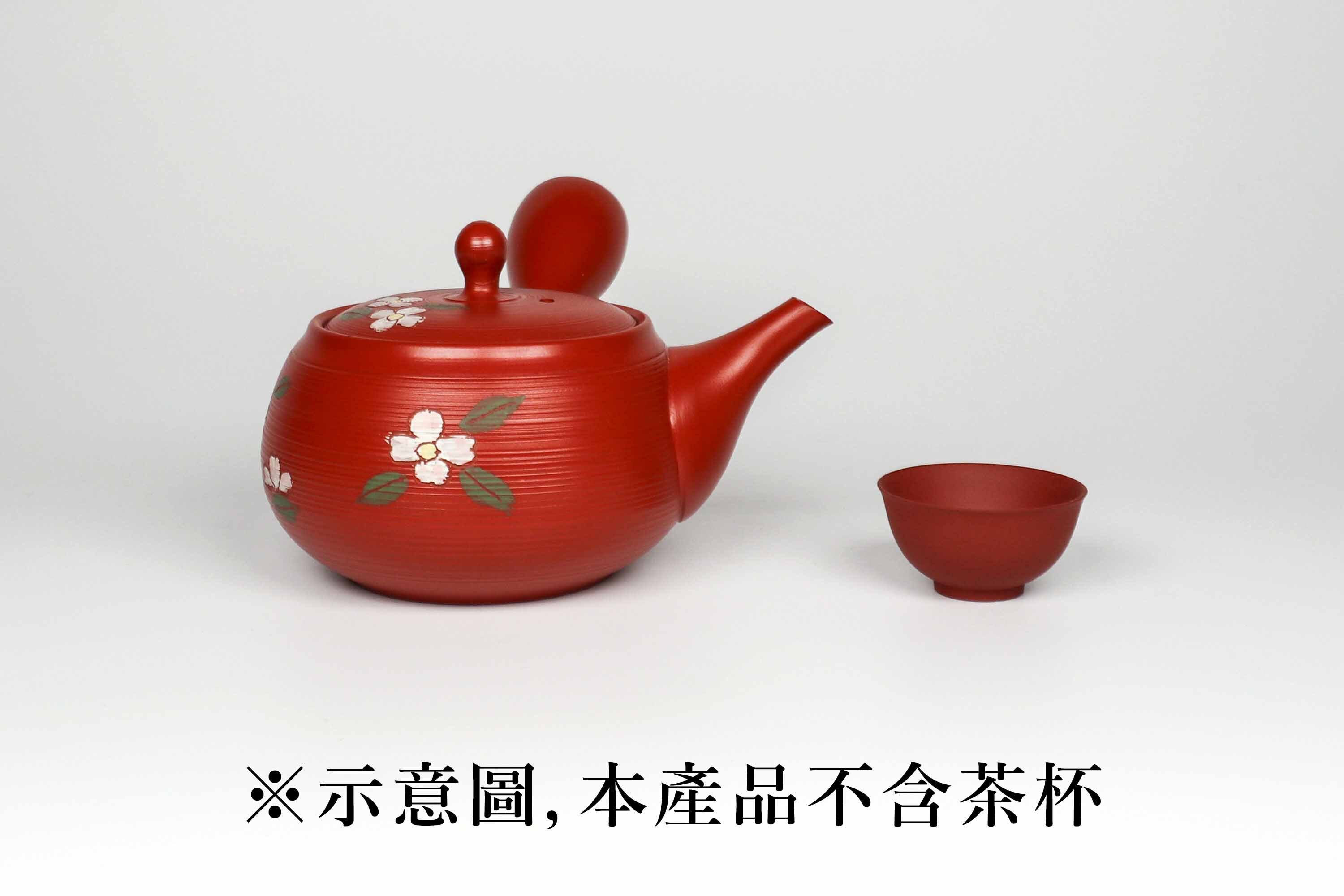 泡茶用的日本陶瓷茶壺
