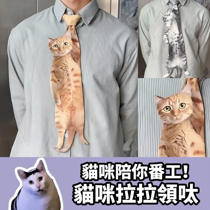 貓咪寫真領呔