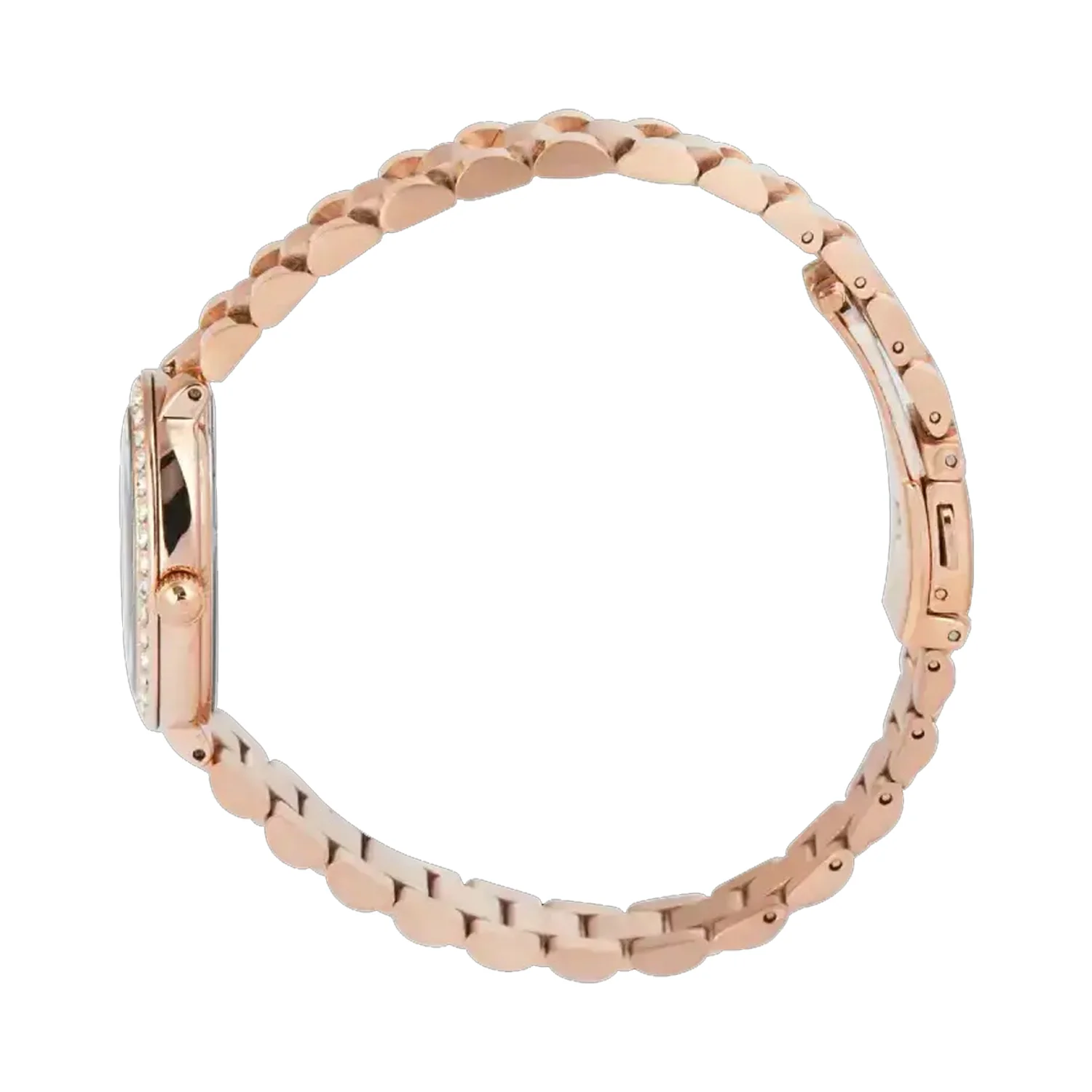 萬年鐘錶 - Alexandre Christie  玫瑰金晶鑽優雅女錶 2C09LHBRGLN 錶徑23MM  (AC 錶)