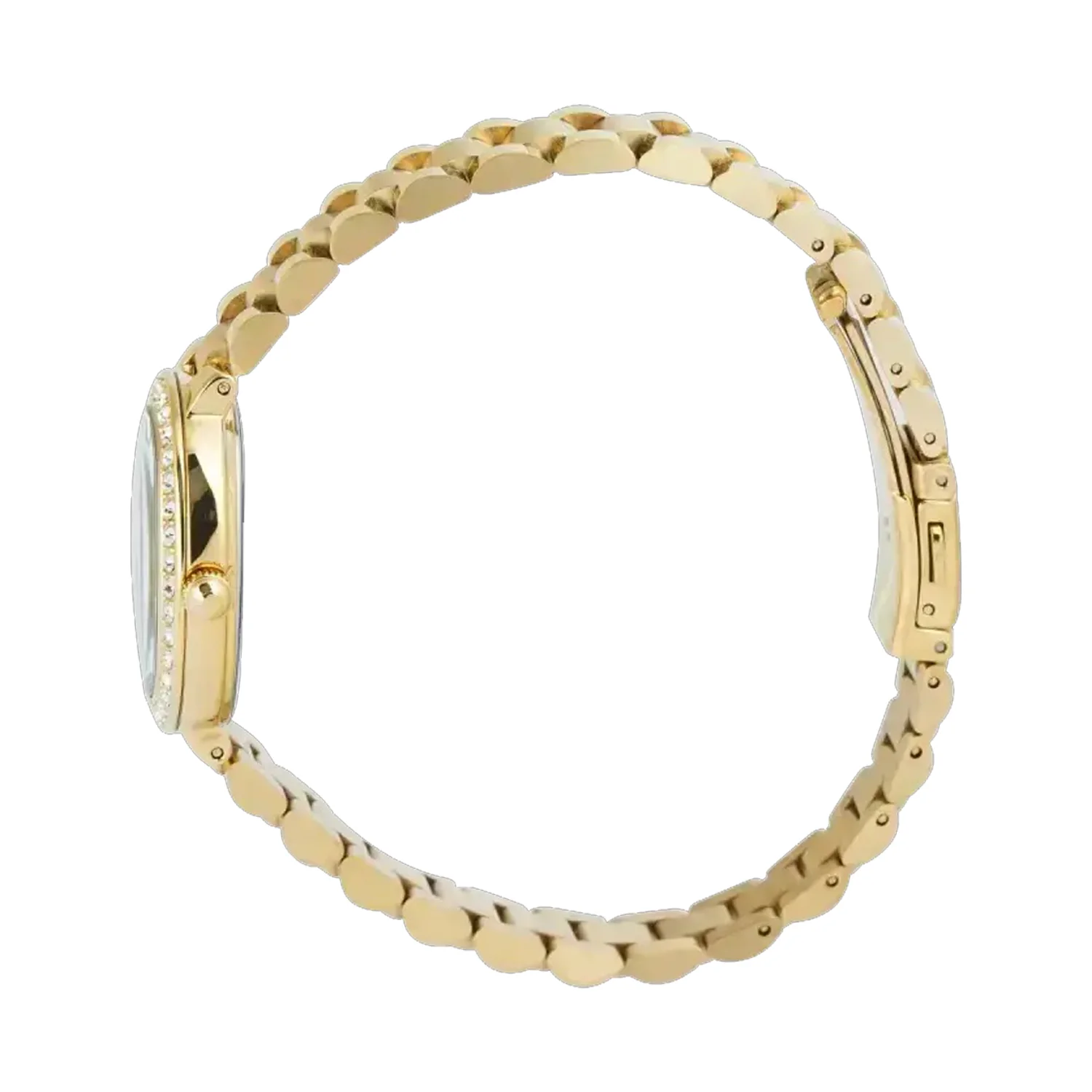 萬年鐘錶 - Alexandre Christie  金色晶鑽優雅女錶 2C09LHBGPGN 錶徑23MM  (AC 錶)