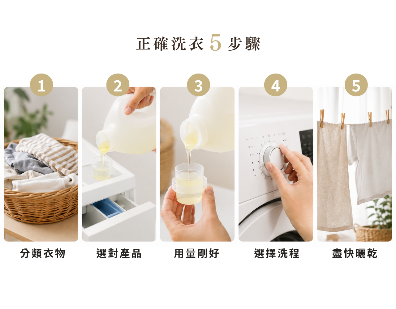 正確洗衣五步驟流程圖,提醒分類衣物、選對洗衣產品、控制用量、選擇洗程並洗後盡快晾乾