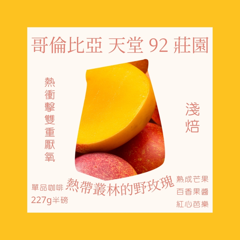 淺焙｜哥倫比亞 天堂 92 莊園 提筆卡 熱衝擊雙重厭氧 咖啡豆  半磅(227g±5g )｜暖窩咖啡