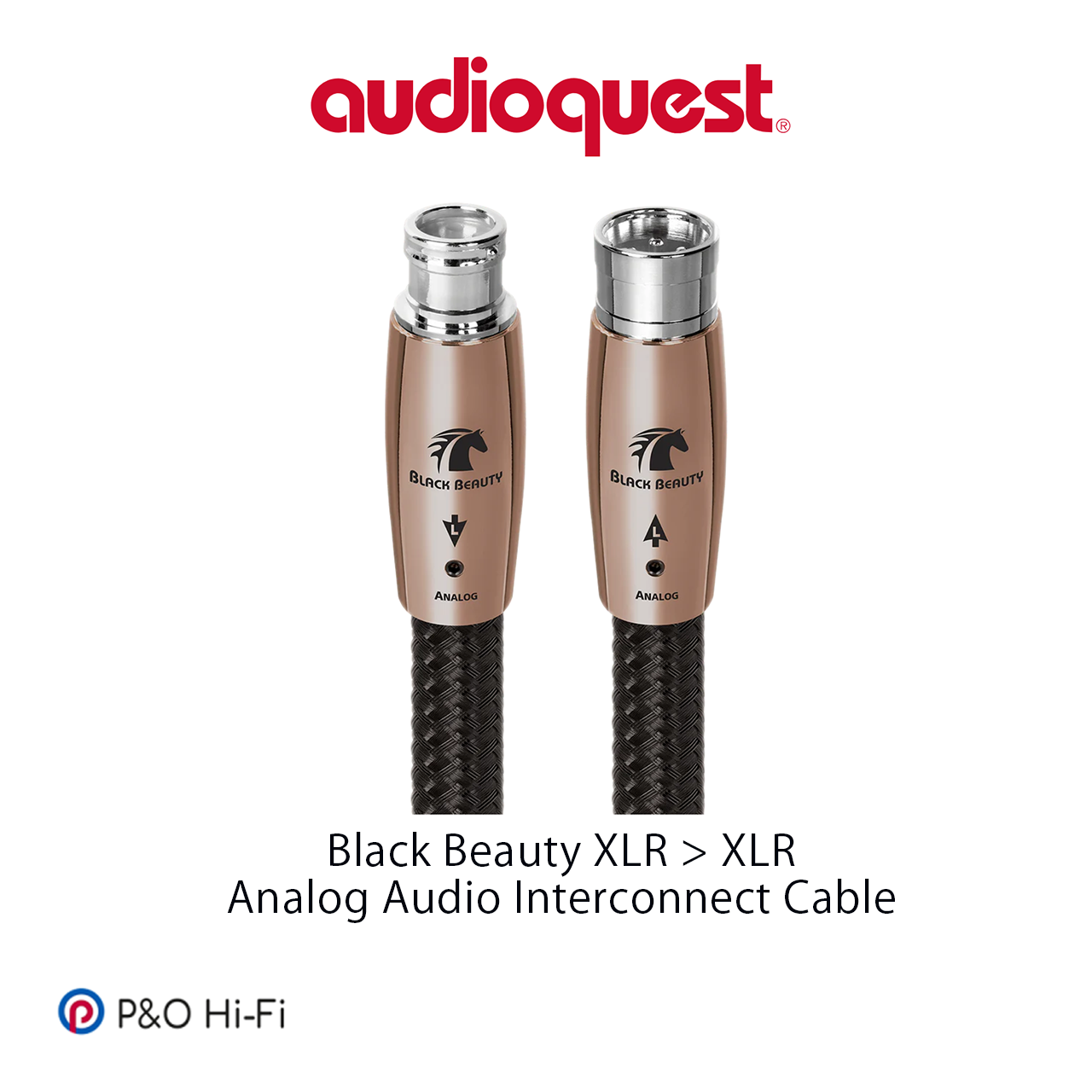 AudioQuest Black Beauty (黑駿) XLR > XLR Mythical Horses Series (神駒系列) 平衡訊號線 (一對)