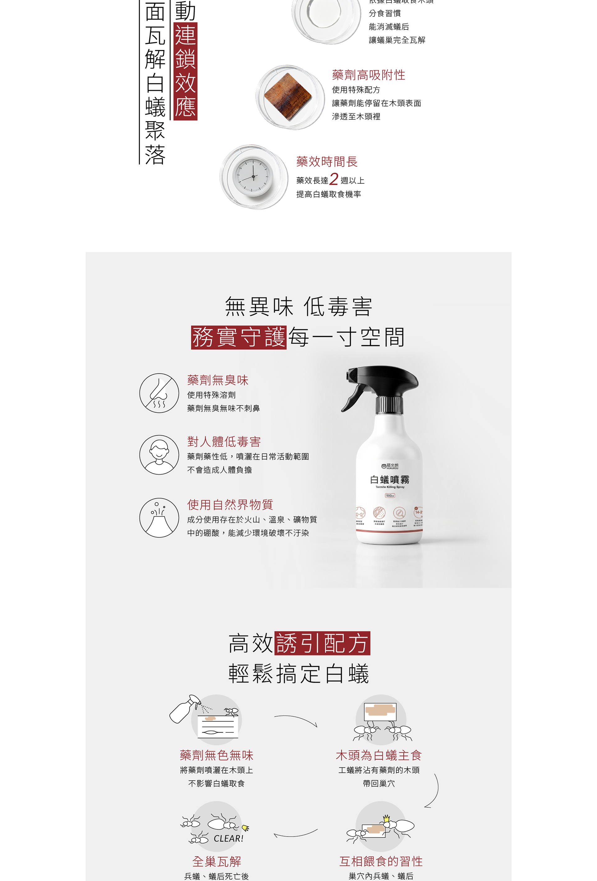 白蟻活動路徑與藏匿熱區