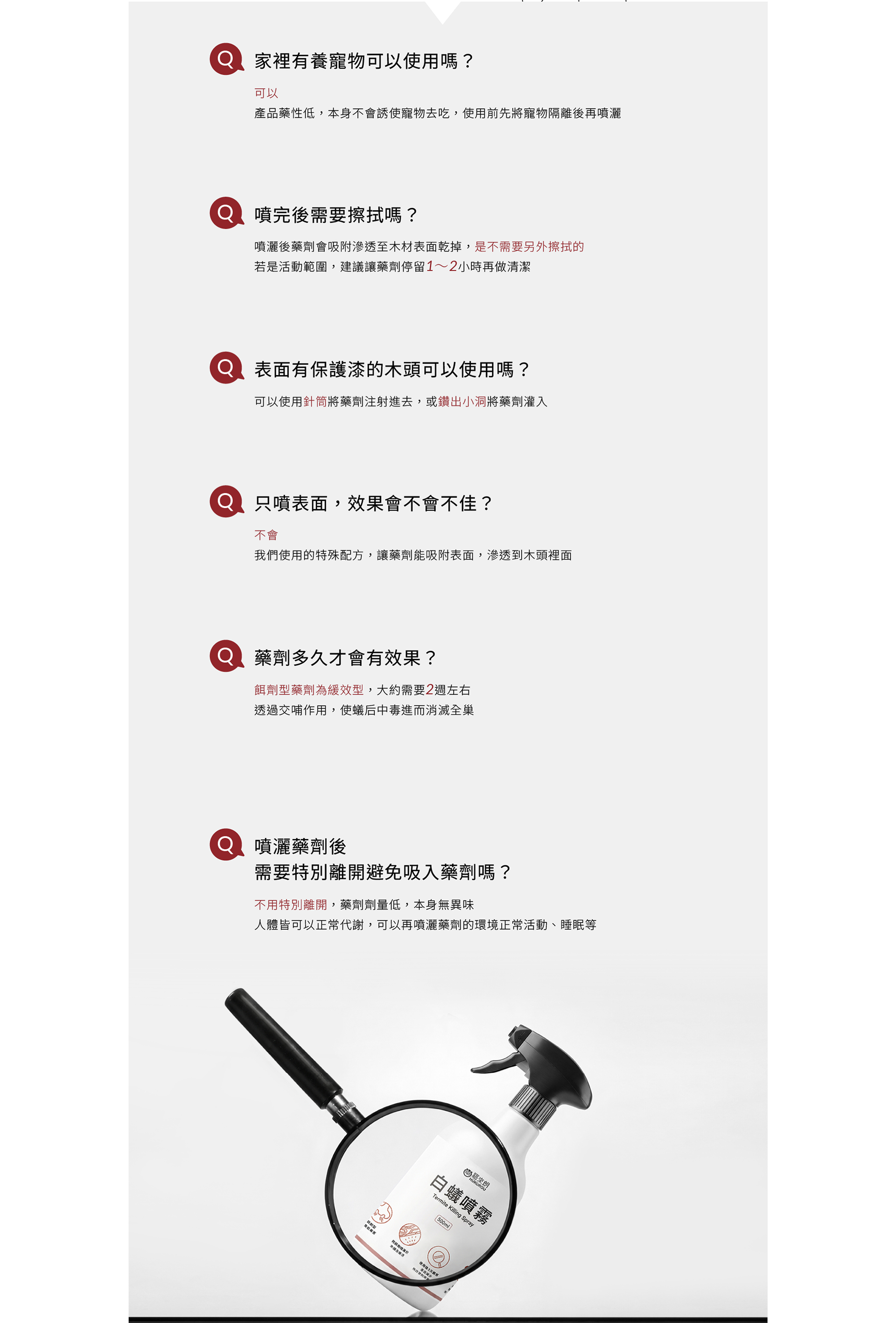 白蟻防護對策與常見問題下