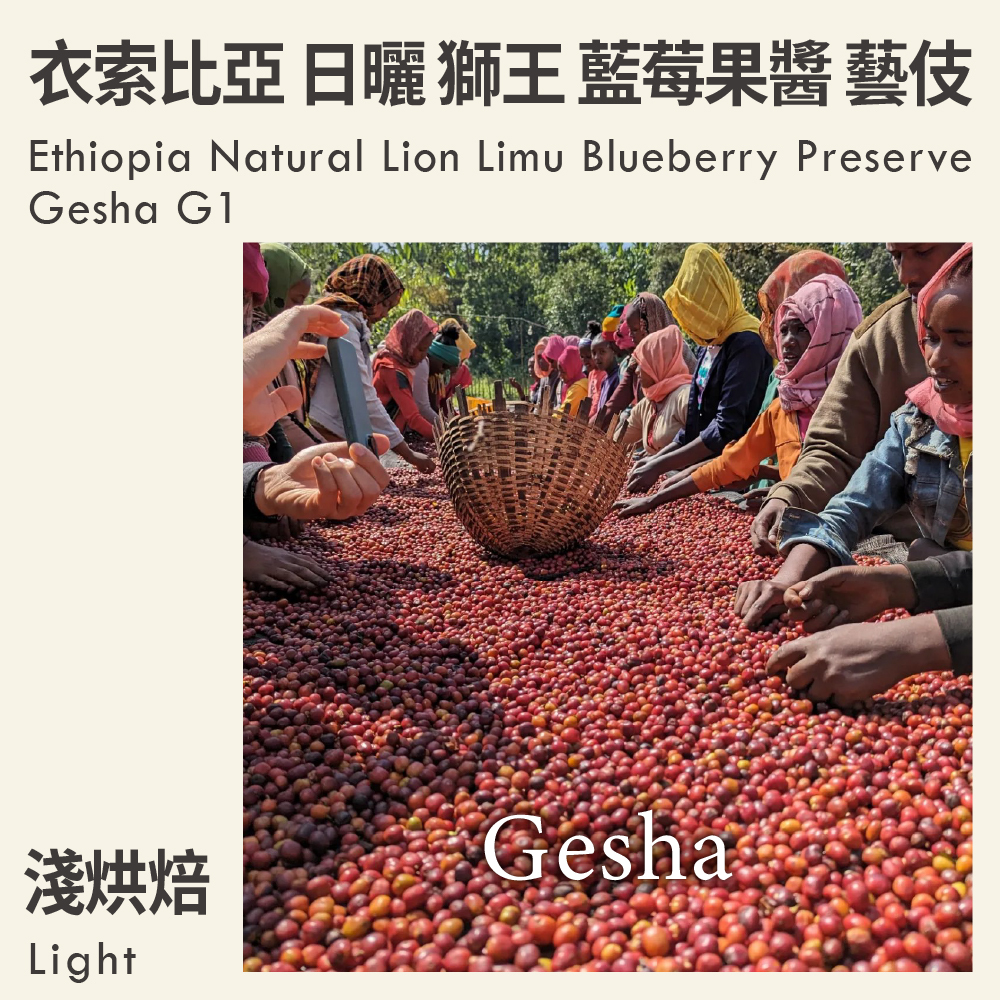Ethiopia Natural Lion Limu Blueberry Preserve Gesha G1
