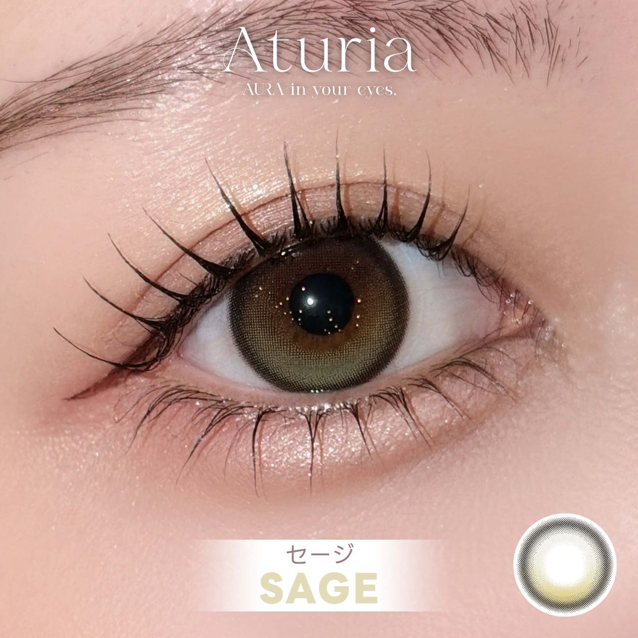 (NMIXX Sullyoon代言) Aturia 1 Day (Sage)(10P)