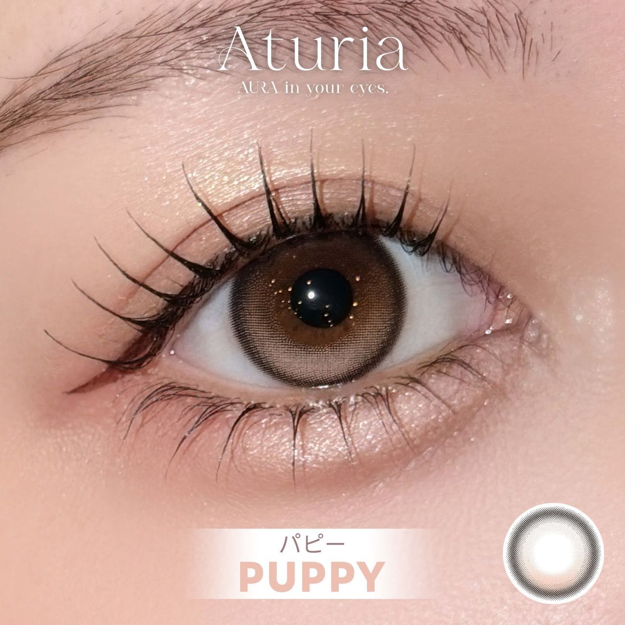 (NMIXX Sullyoon代言) Aturia 1 Day (Puppy)(10P)