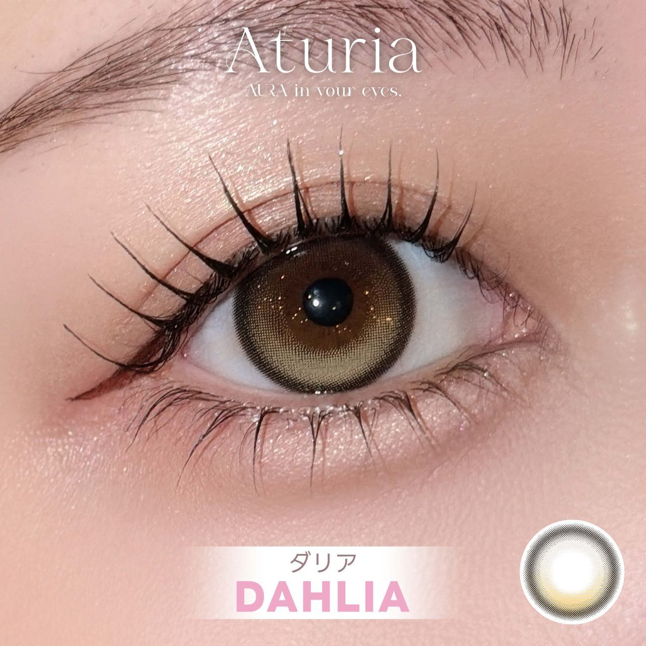 (NMIXX Sullyoon代言) Aturia 1 Day (Dahlia)(10P)
