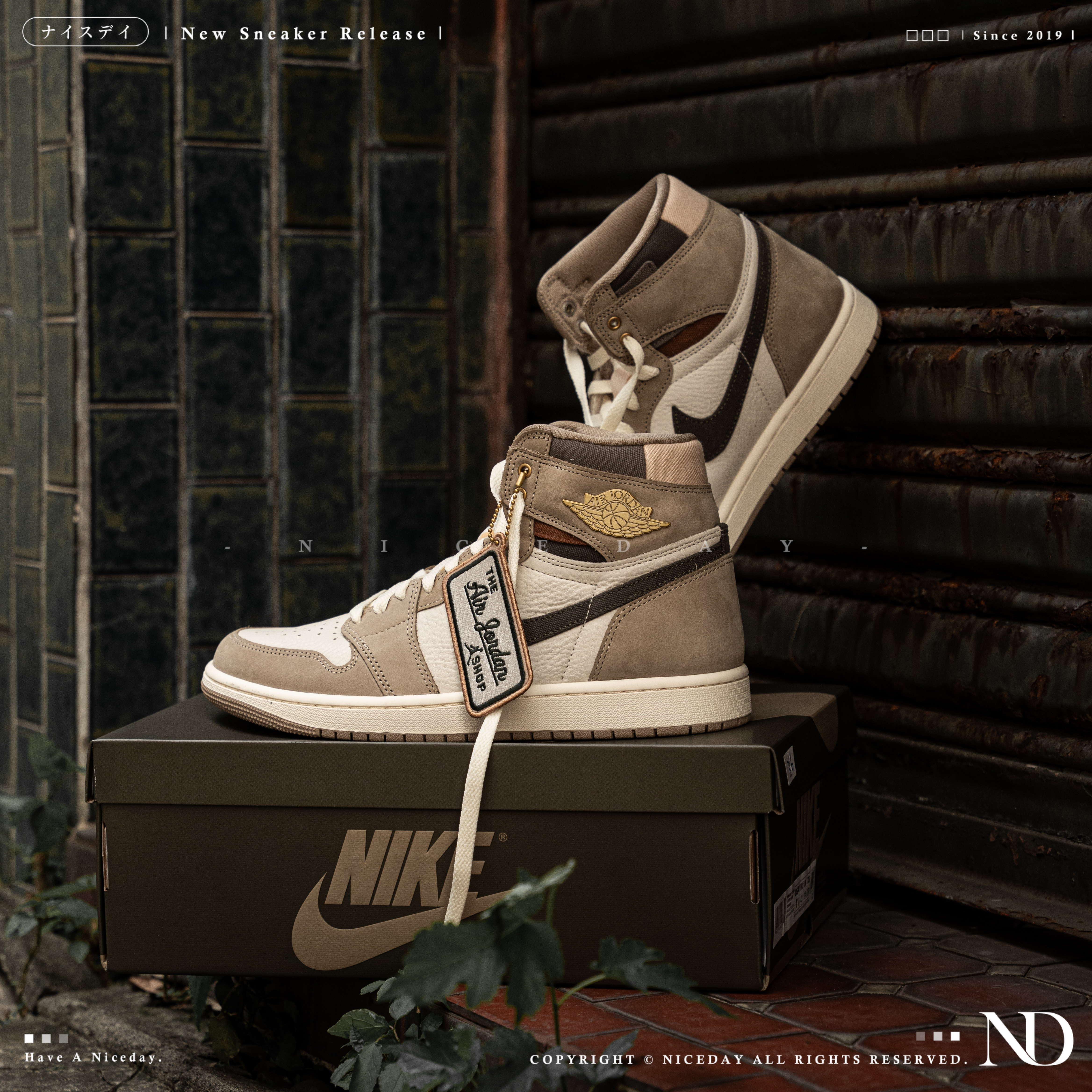 NICEDAY 現貨 Nike Air Jordan 1 OG 大地色 卡其 淺摩卡 淺棕 米色 FD2596-201