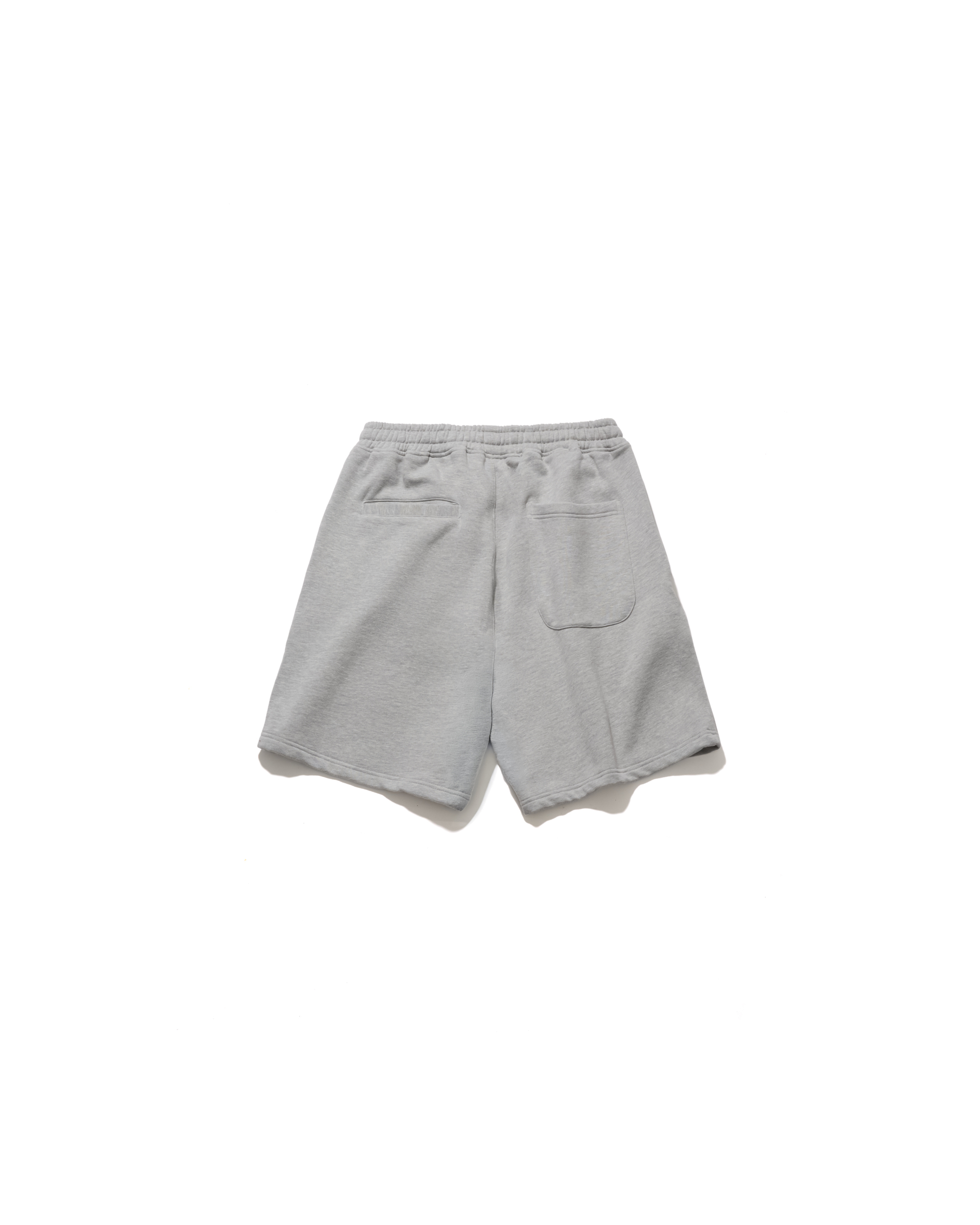 AES VARSITY ARCH LOGO WASHED VINTAGE COTTON SHORTS