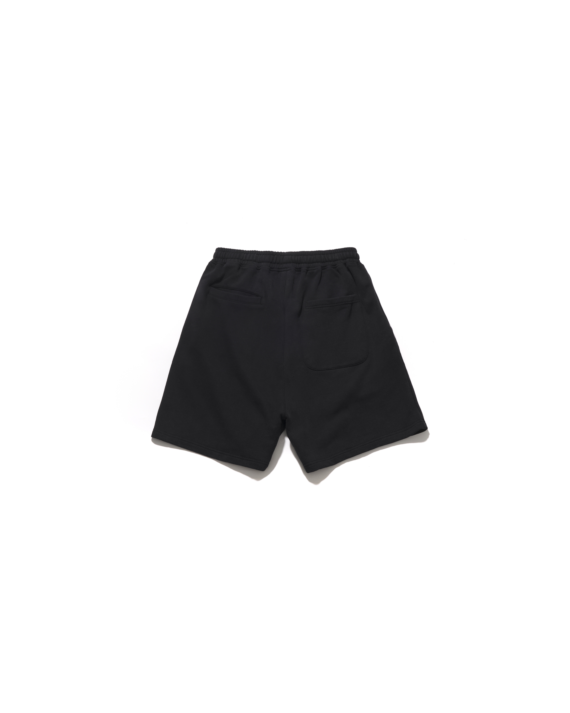 AES VARSITY ARCH LOGO WASHED VINTAGE COTTON SHORTS