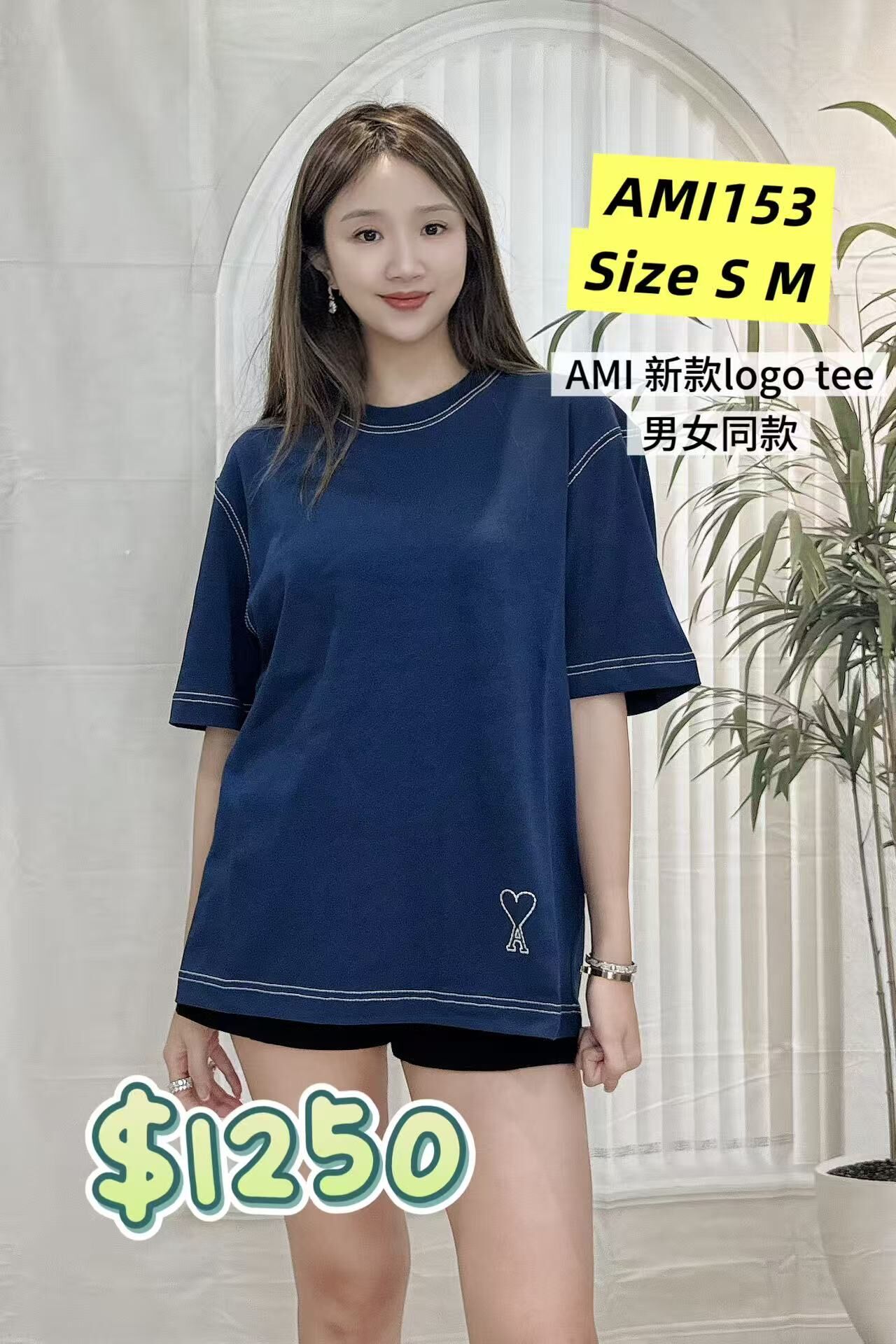 AMI153 -T