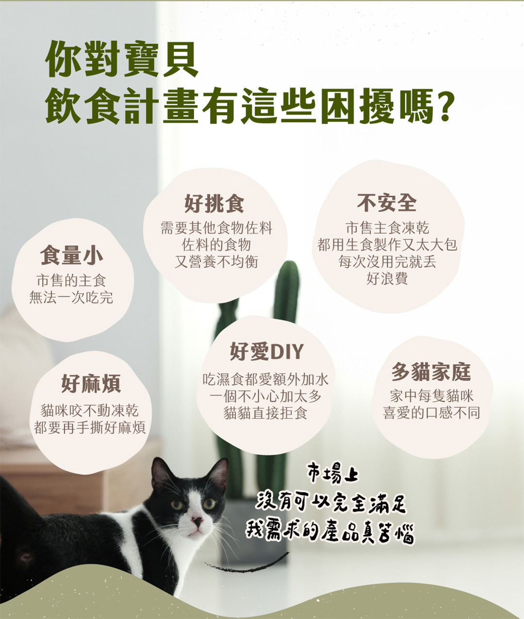 超蓴主食凍乾晶粉滿足食量小挑食貓咪