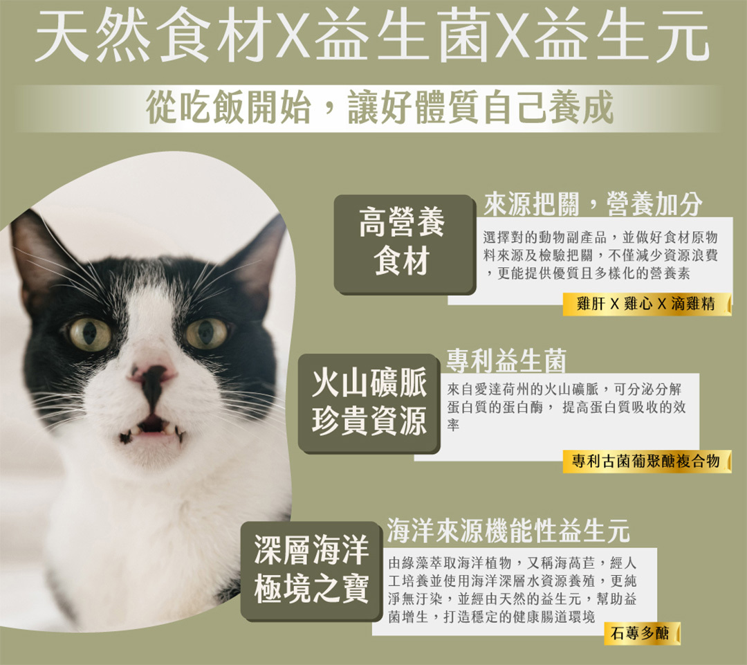 喵食喵事主食粉嚴選天然食材益生菌滴雞精石蓴多醣
