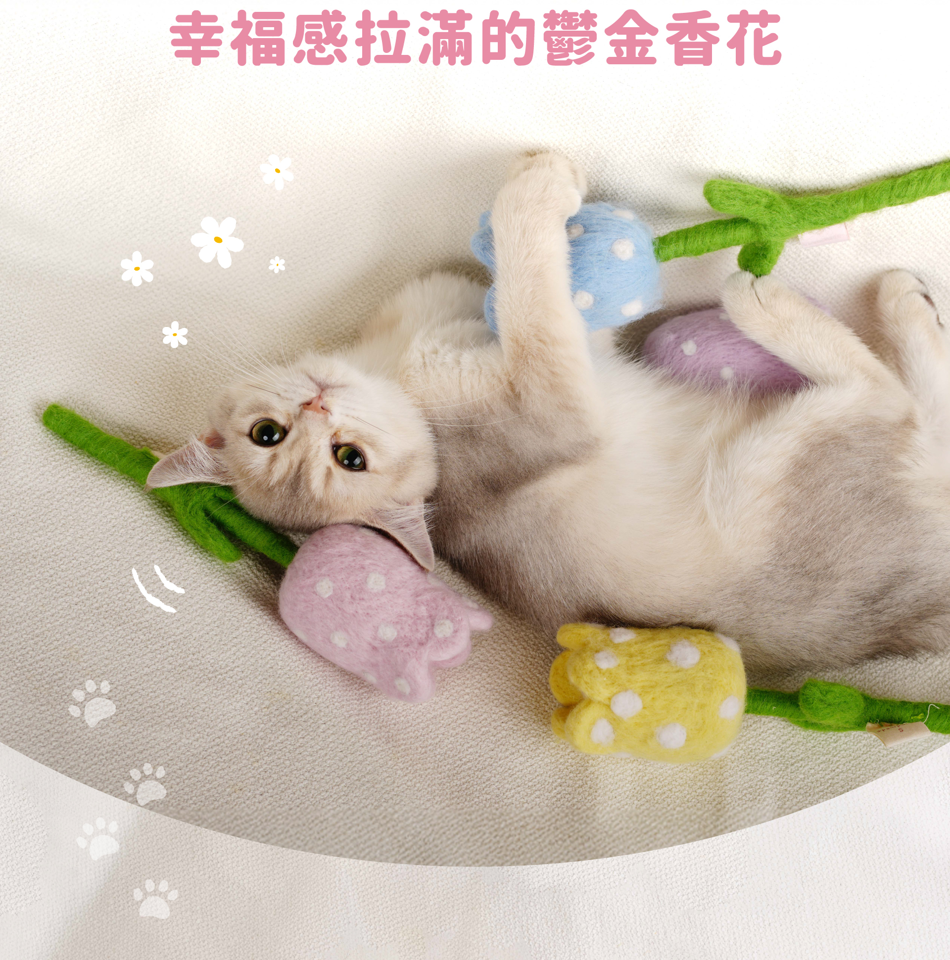 貪貪鬱金香羊毛氈新上市