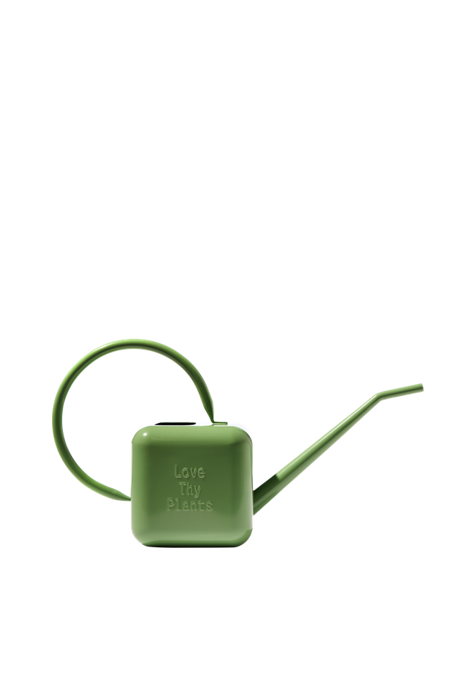 SOWVITAL 英式澆水壺 淺綠