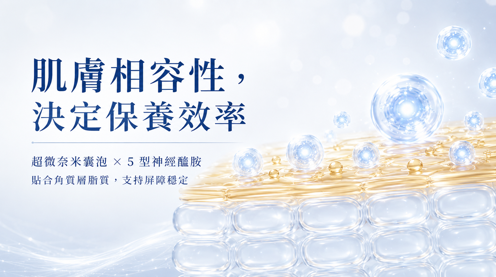 神經醯胺與外泌體協同