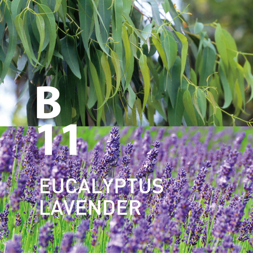 AT AROMA - Botanical Air B11 Eucalyptus Lavender Essential Oil | 250ml