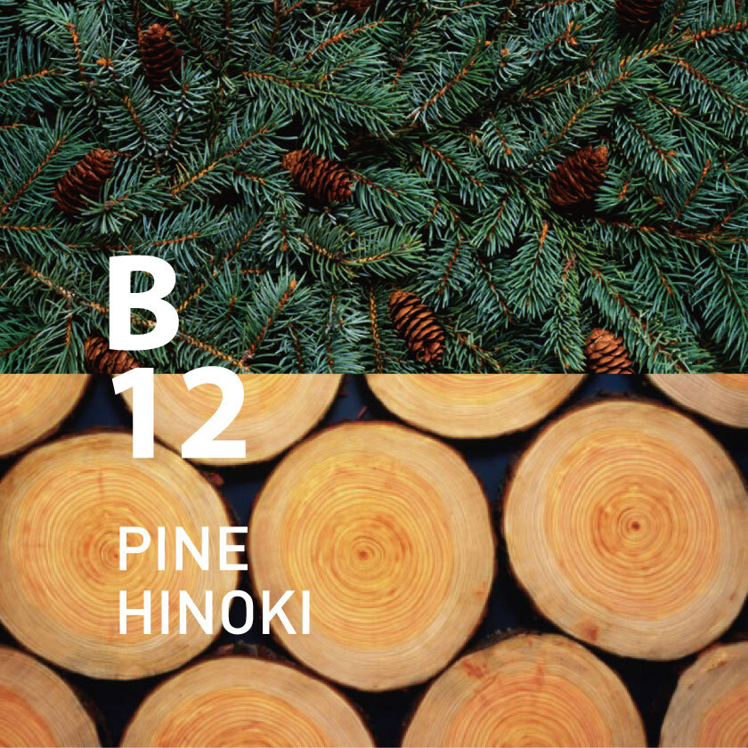AT AROMA - Botanical Air B12 Pine Hinoki Essential Oil | 250ml