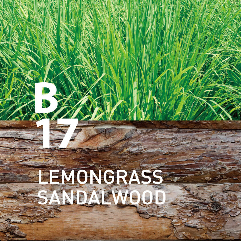 AT AROMA - Botanical Air B17 Lemongrass Sandalwood Essential Oil | 250ml
