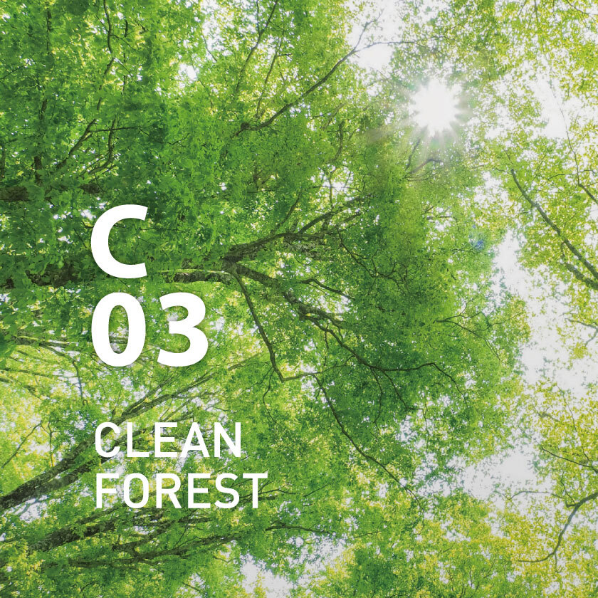 AT AROMA - Clean Air C03 Clean Forest Essential Oil | 250ml