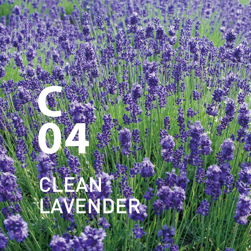 AT AROMA - Clean Air C03 Clean Lavender Essential Oil | 250ml