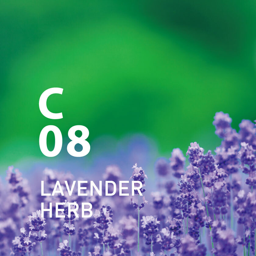 AT AROMA - Clean Air C08 Lavender Herb Essential Oil | 250ml