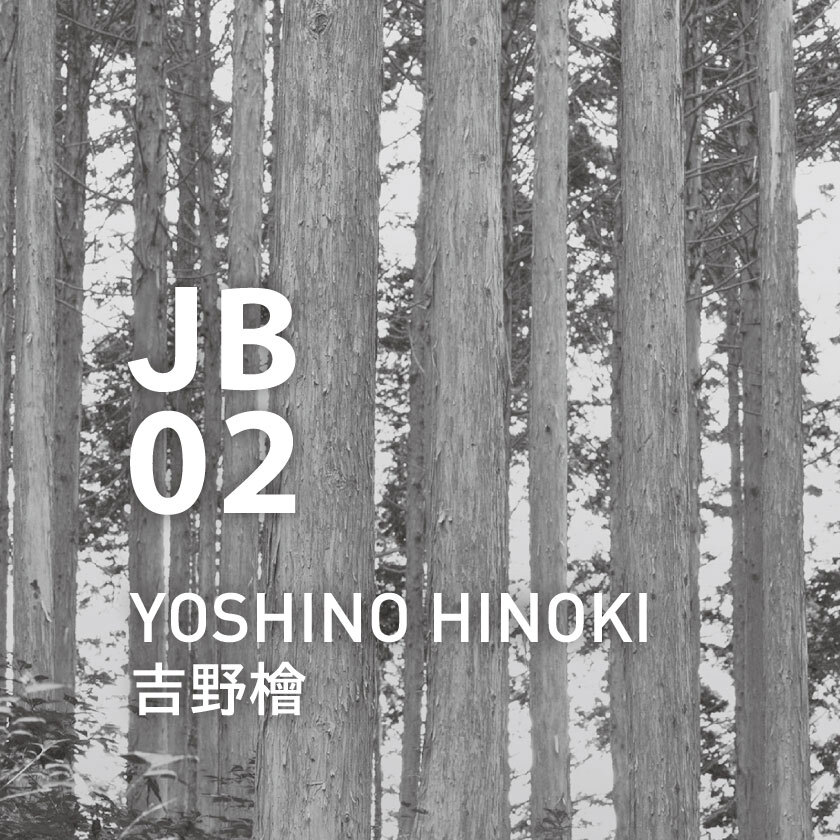 AT AROMA - Japanese Botanical Air JB02 Yoshino Hinoki Essential Oil | 250ml