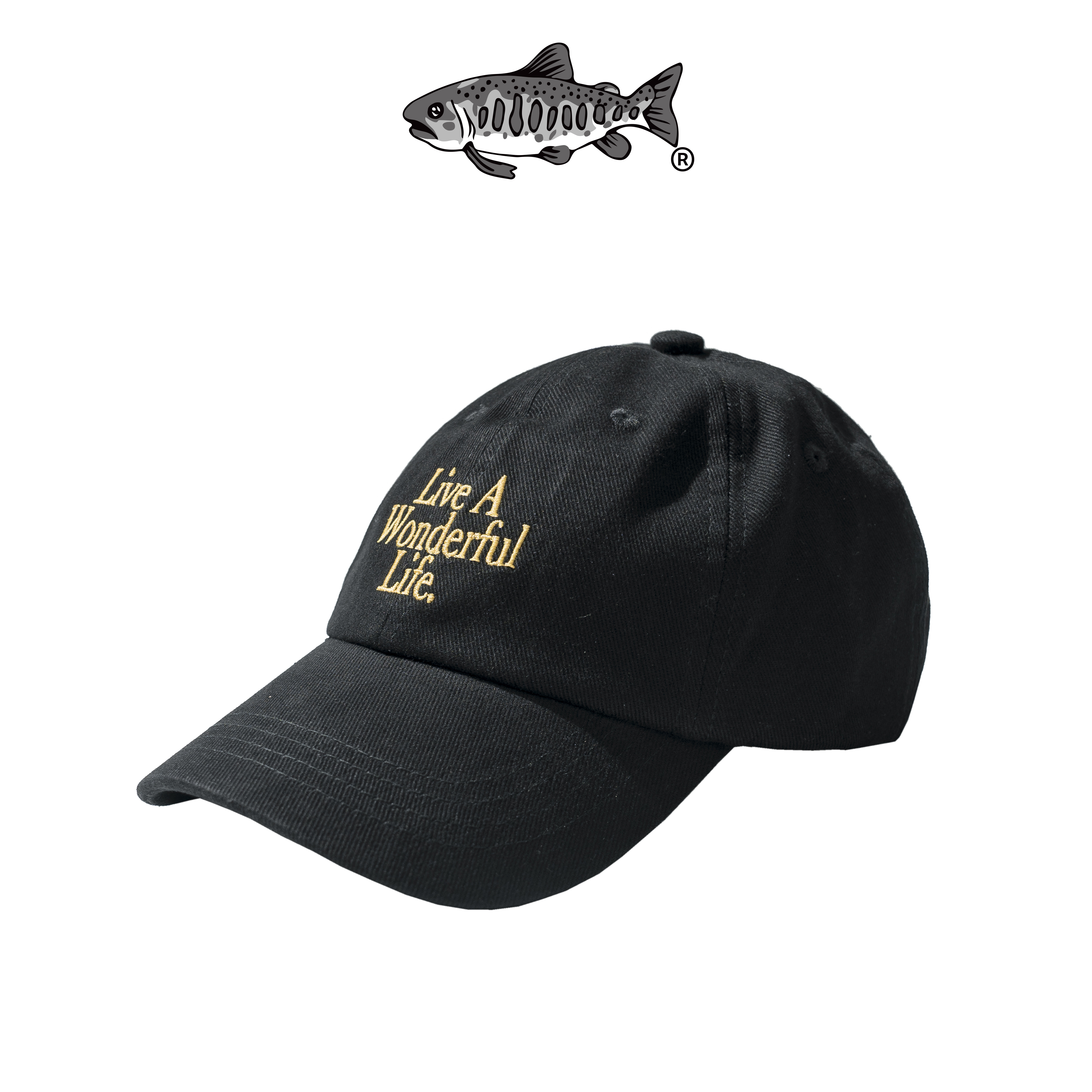 AGILITY Embroidery 6 Panel Cap 標語刺繡 棒球帽 [A-CA4]