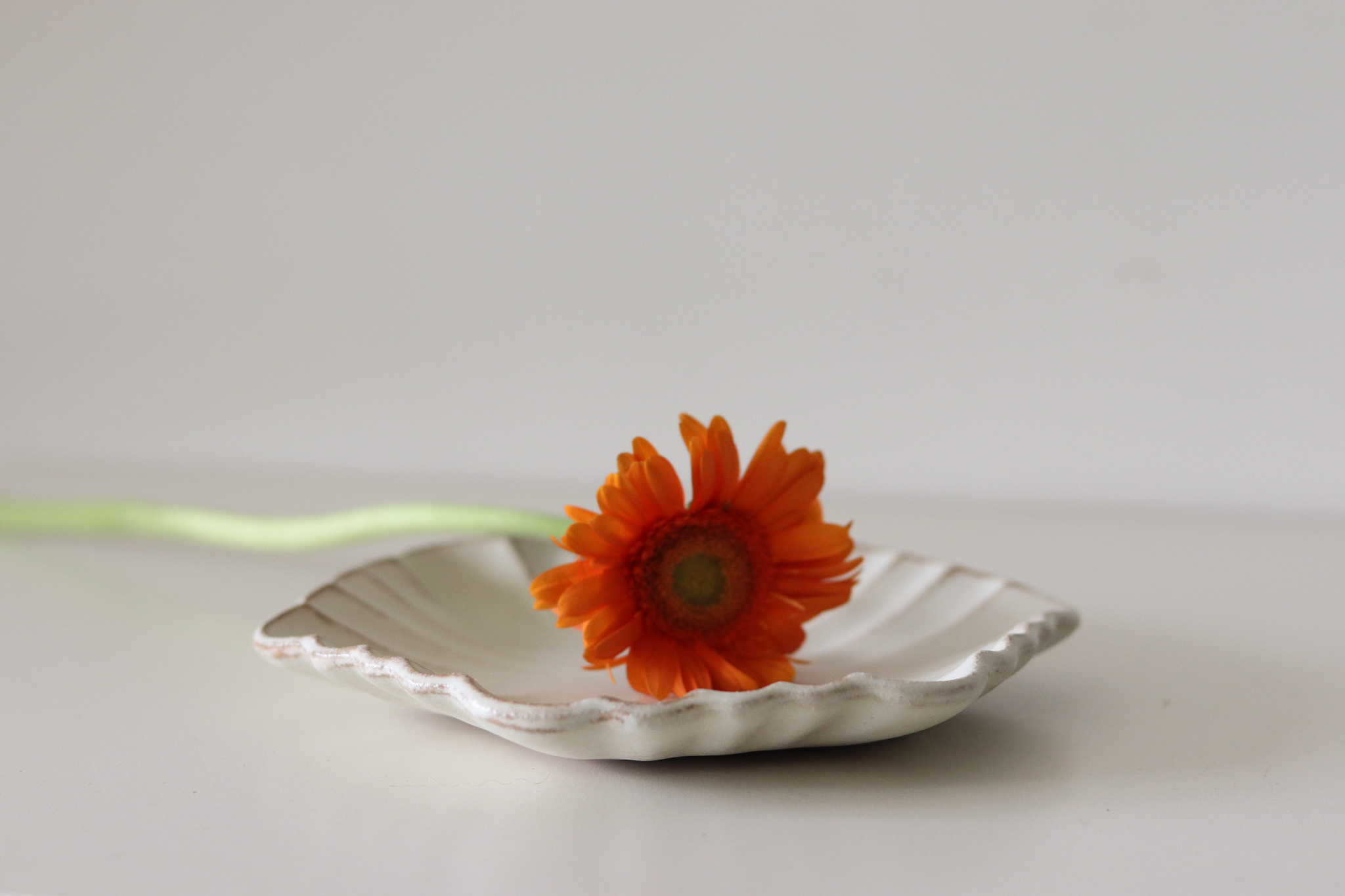 Mashiko Yaki 益子燒 若林健吾 Gerbera 六角盤