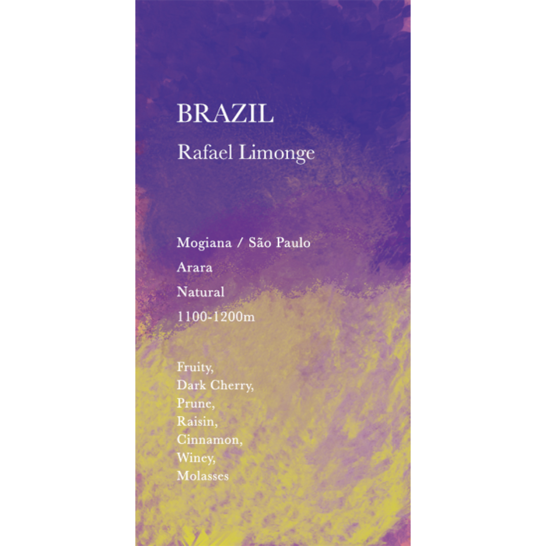 巴西 Rafael Limonge