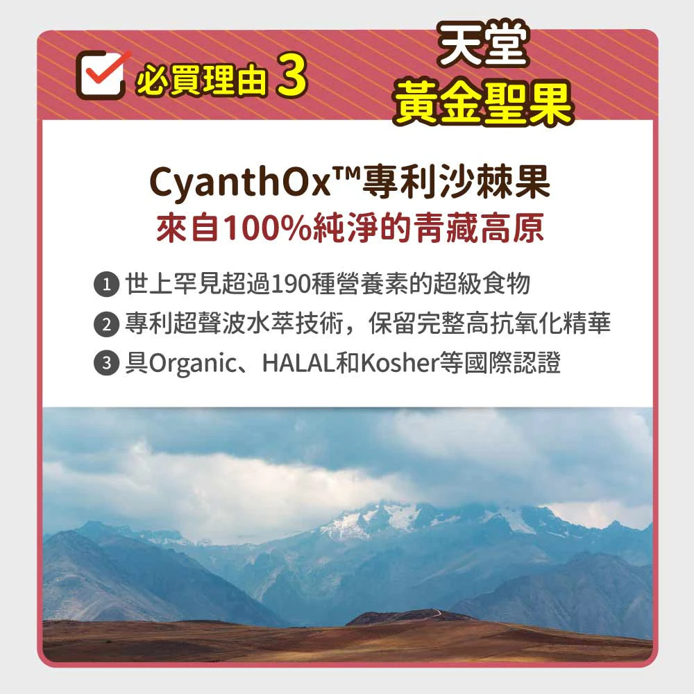毛孩時代 心臟專科保健粉