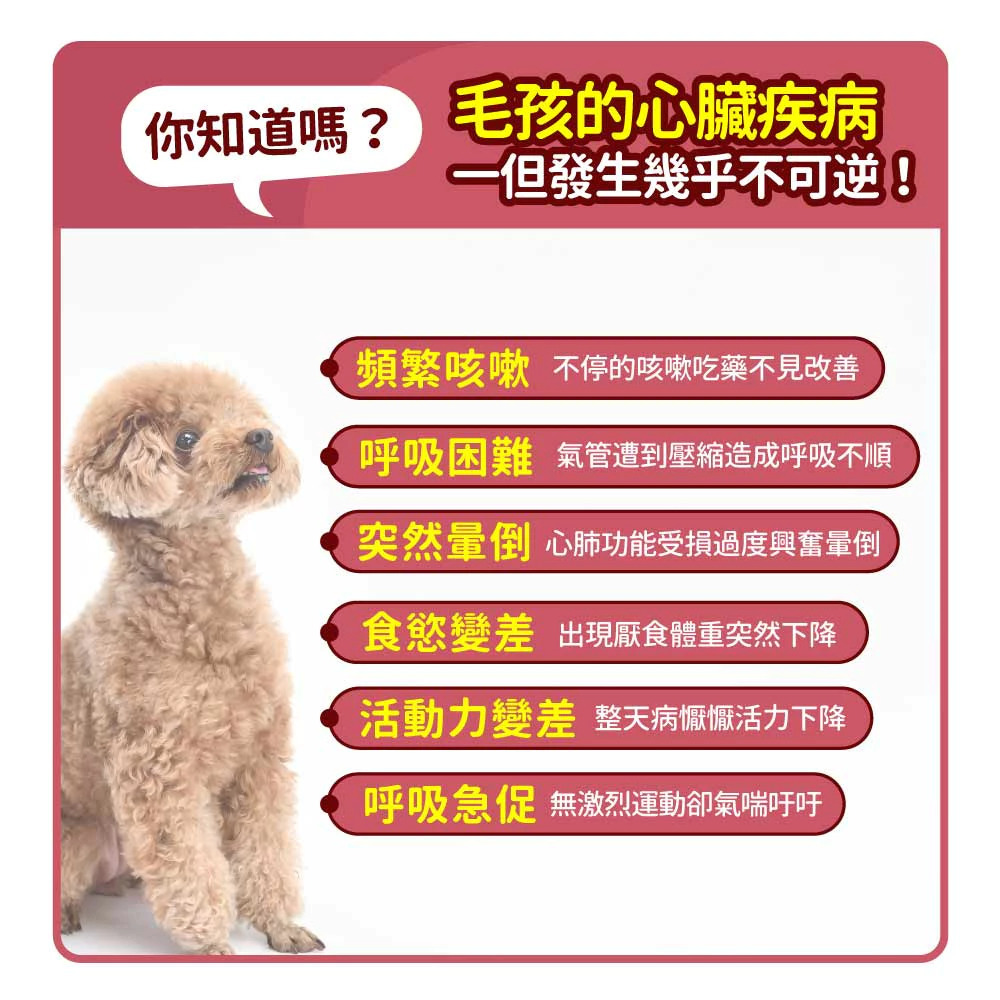 毛孩時代 心臟專科保健粉