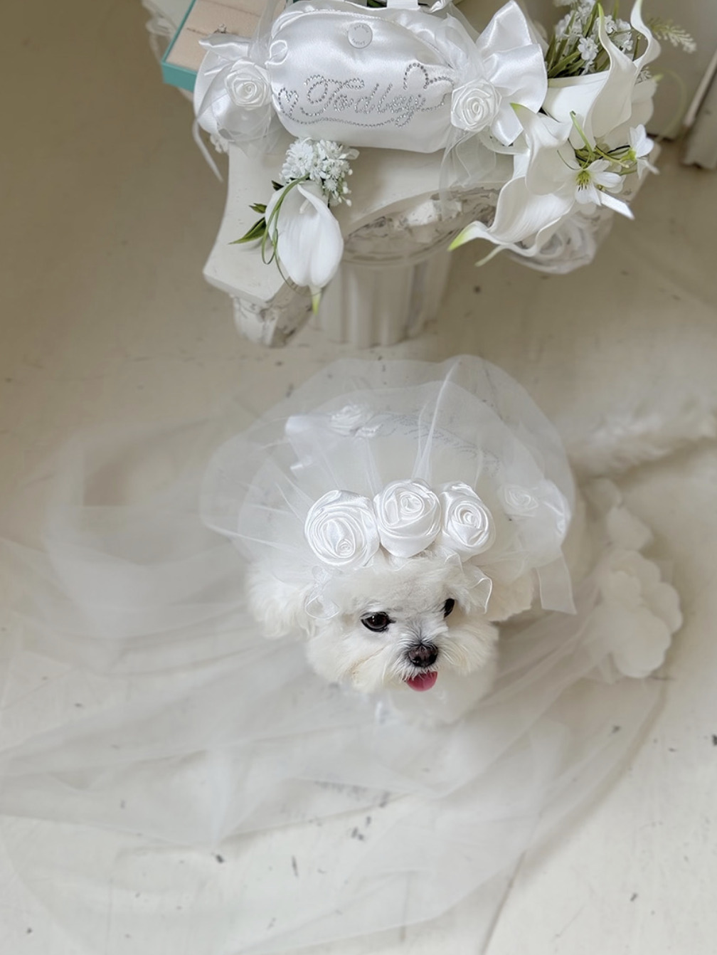 Wedding Veil