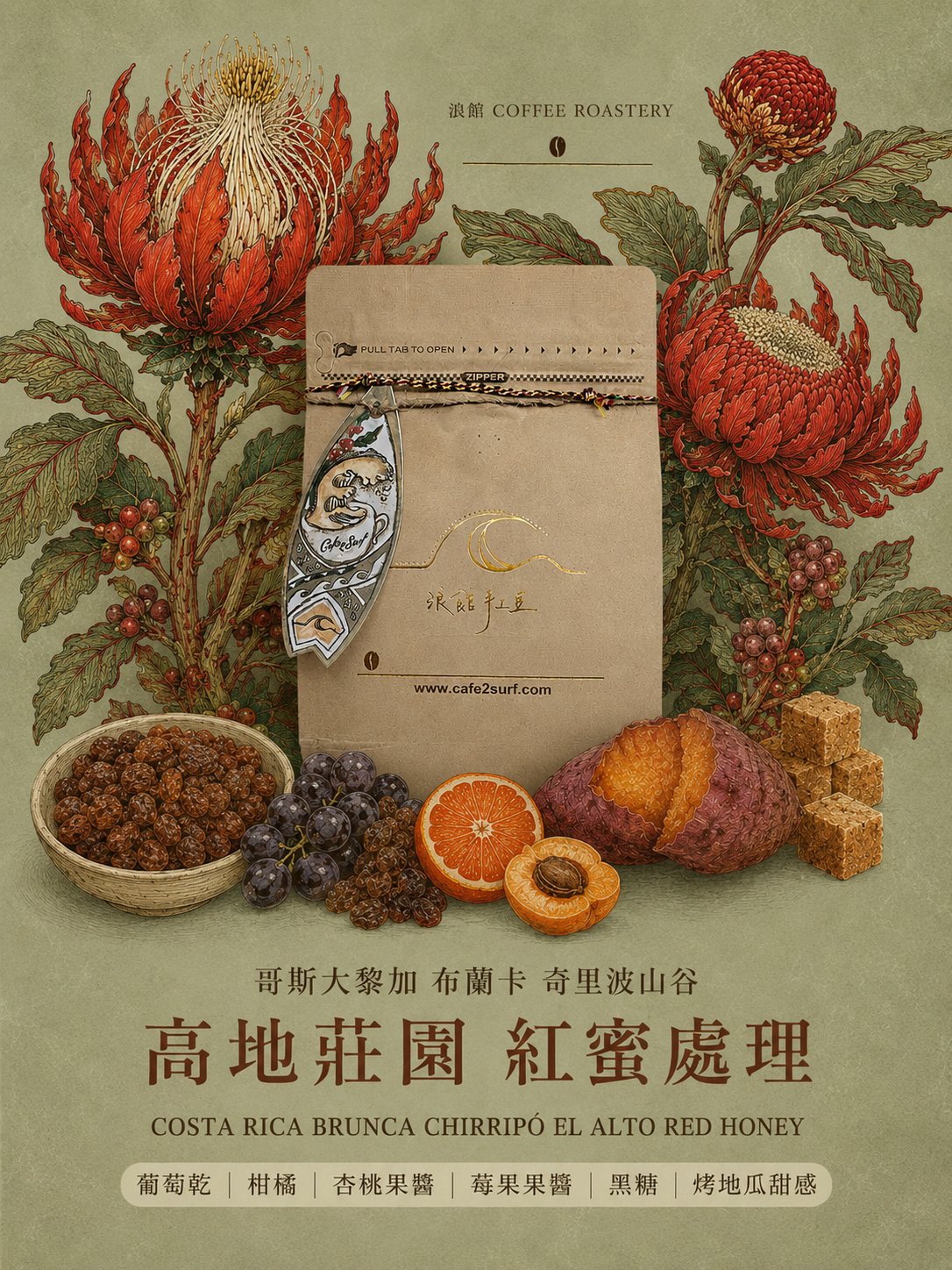 哥斯大黎加 布蘭卡 奇里波山谷 高地莊園 紅蜜｜咖啡豆 227g