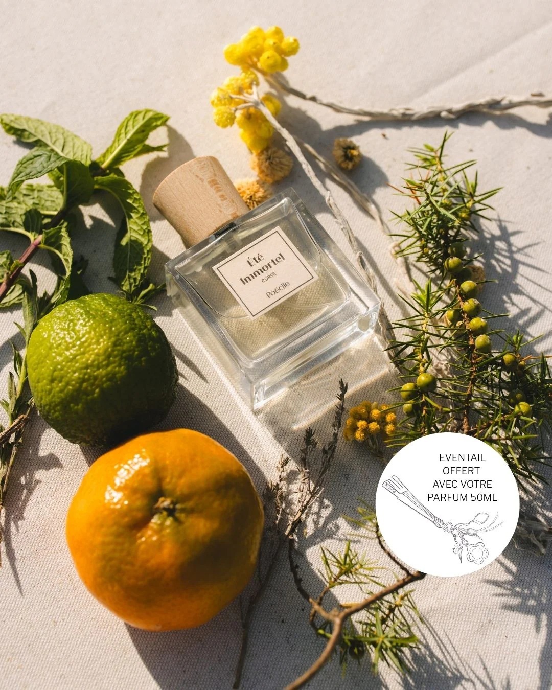 Poécile Été Immortel 50 ml (暖陽草本香)