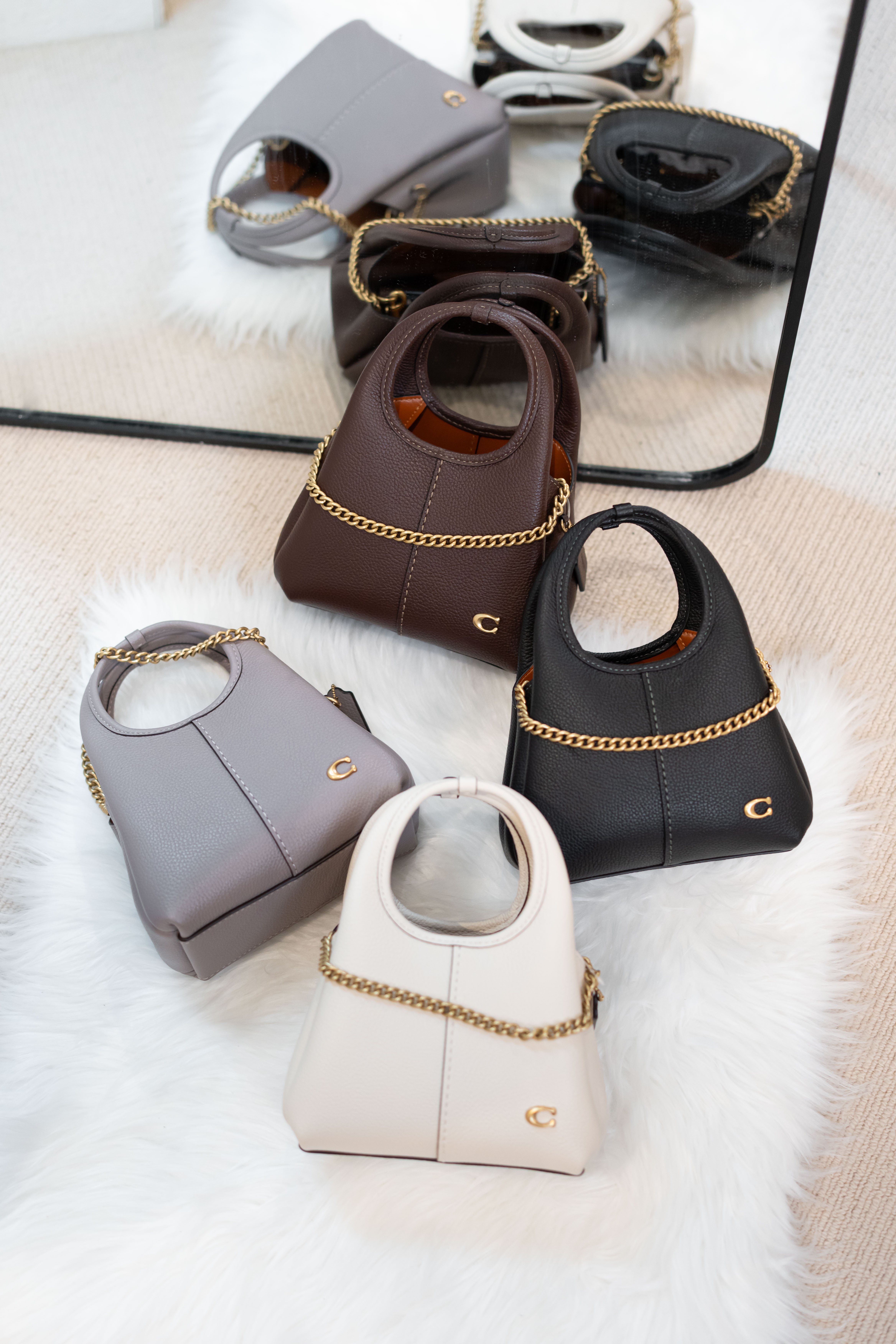 Coach Lana Shoulder Bag 19